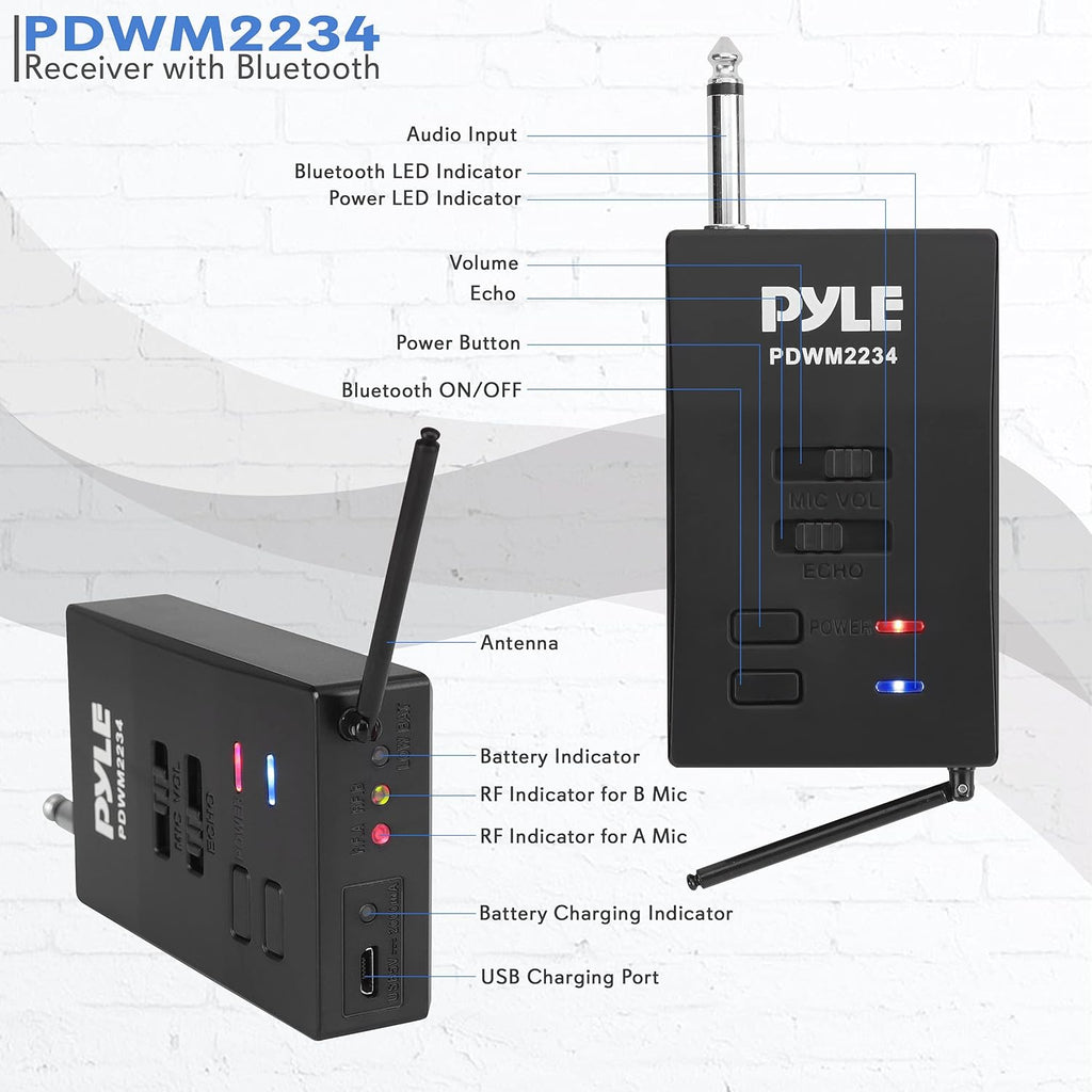 Portable Dual Wireless Microphone System with 2 Handheld Transmitter and 1 Receiver G6308