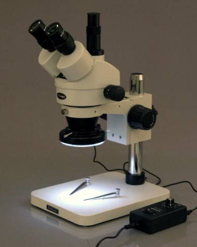 Trinocular Stereo Zoom Microscope with WH10x Eyepieces P247771