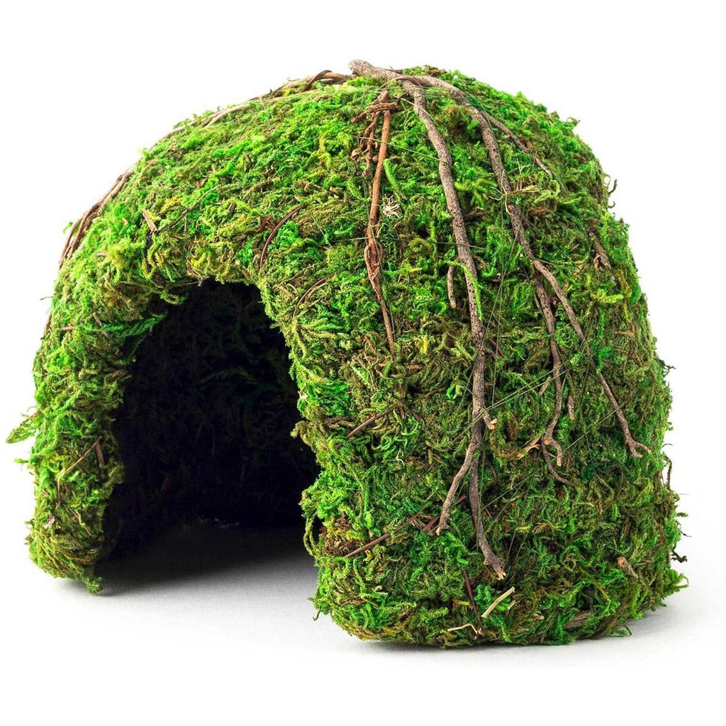 Green Mossy Dome N846