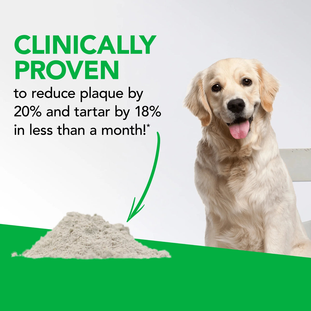 Dental Care Powder for Cats and Dogs 4.2 oz P341629