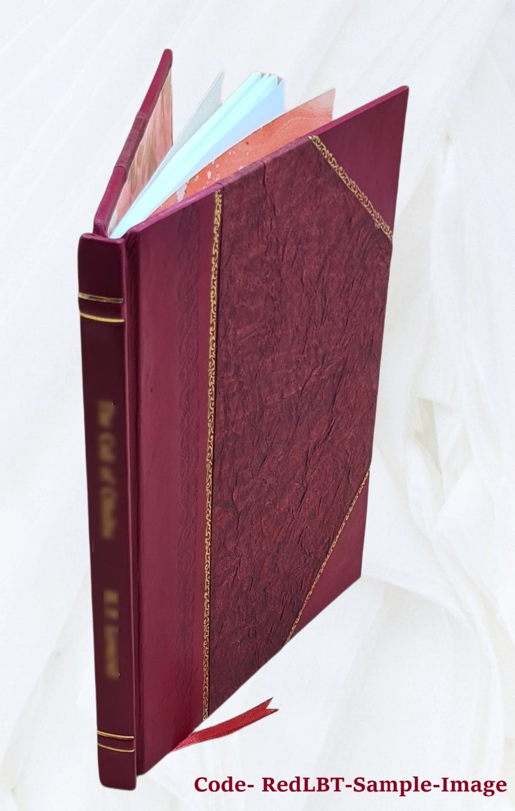 Electrical Society Cornell University 1894 1895 Leather Bound D7157