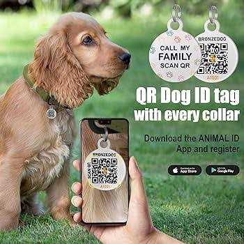 Rolled Leather Dog Collar with QR ID Dog Tag Y422