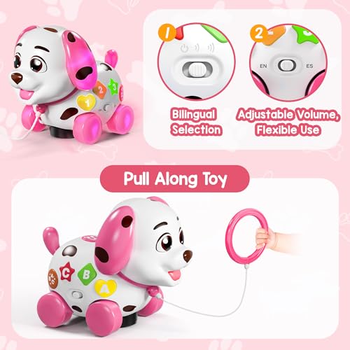 Bilingual Musical Learning Toy with Music Light B51188