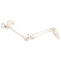 Leg Skeleton Model with Hip Bone C204957