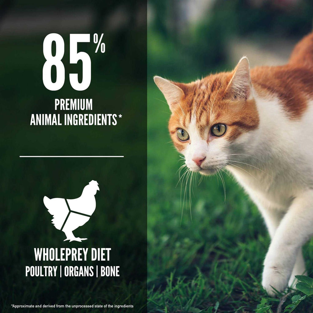 Cat Dry Food K11837