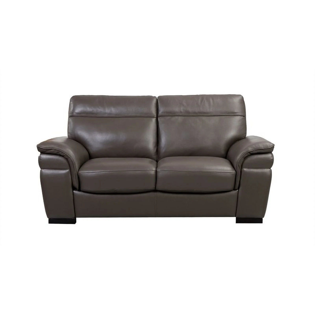 Taupe Italian Leather Loveseat V47690