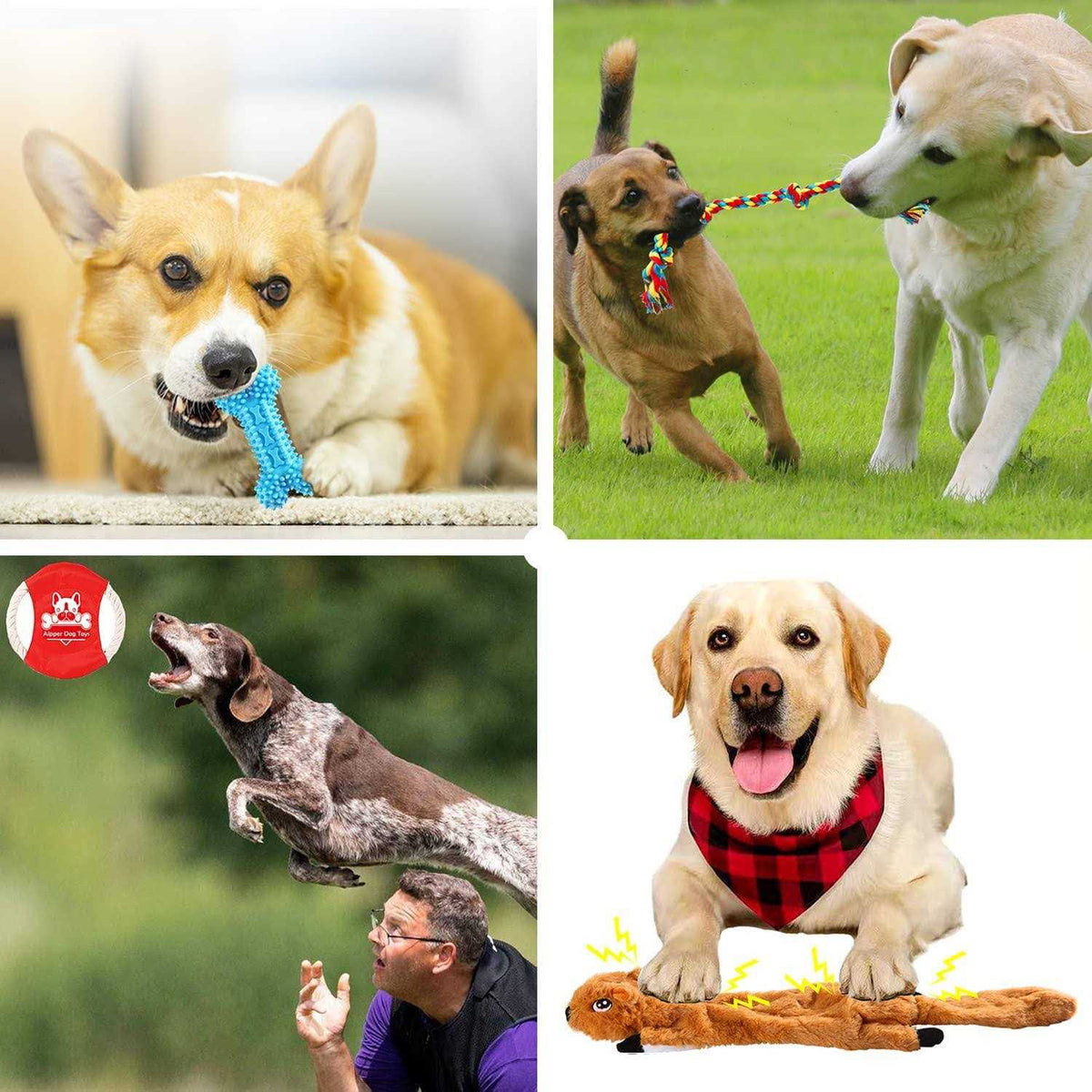 20 Pack Puppy Chew Toys I3303