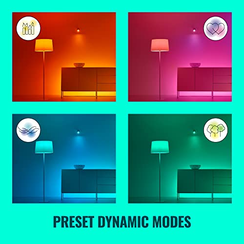 Multicolor LED Light Strip W521721
