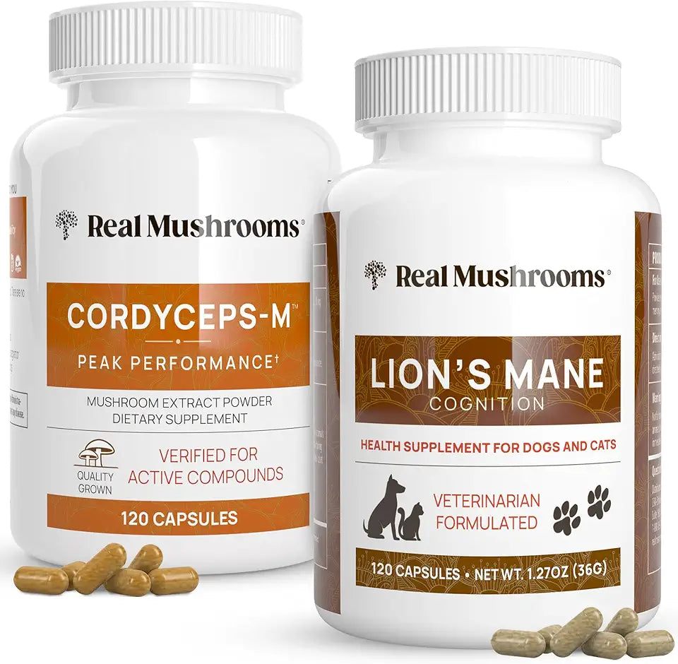 Cordyceps and Lions Mane Mushroom Extract Supplements 120ct L126