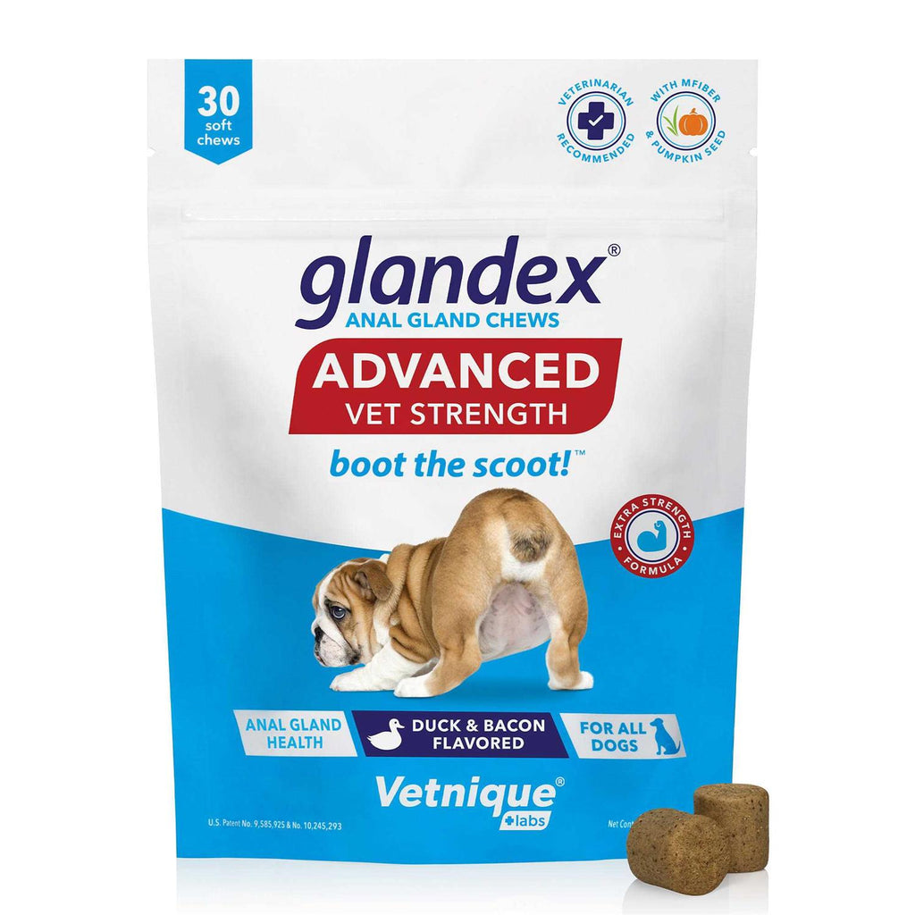 Anal Gland Soft Chews for Dogs J577935