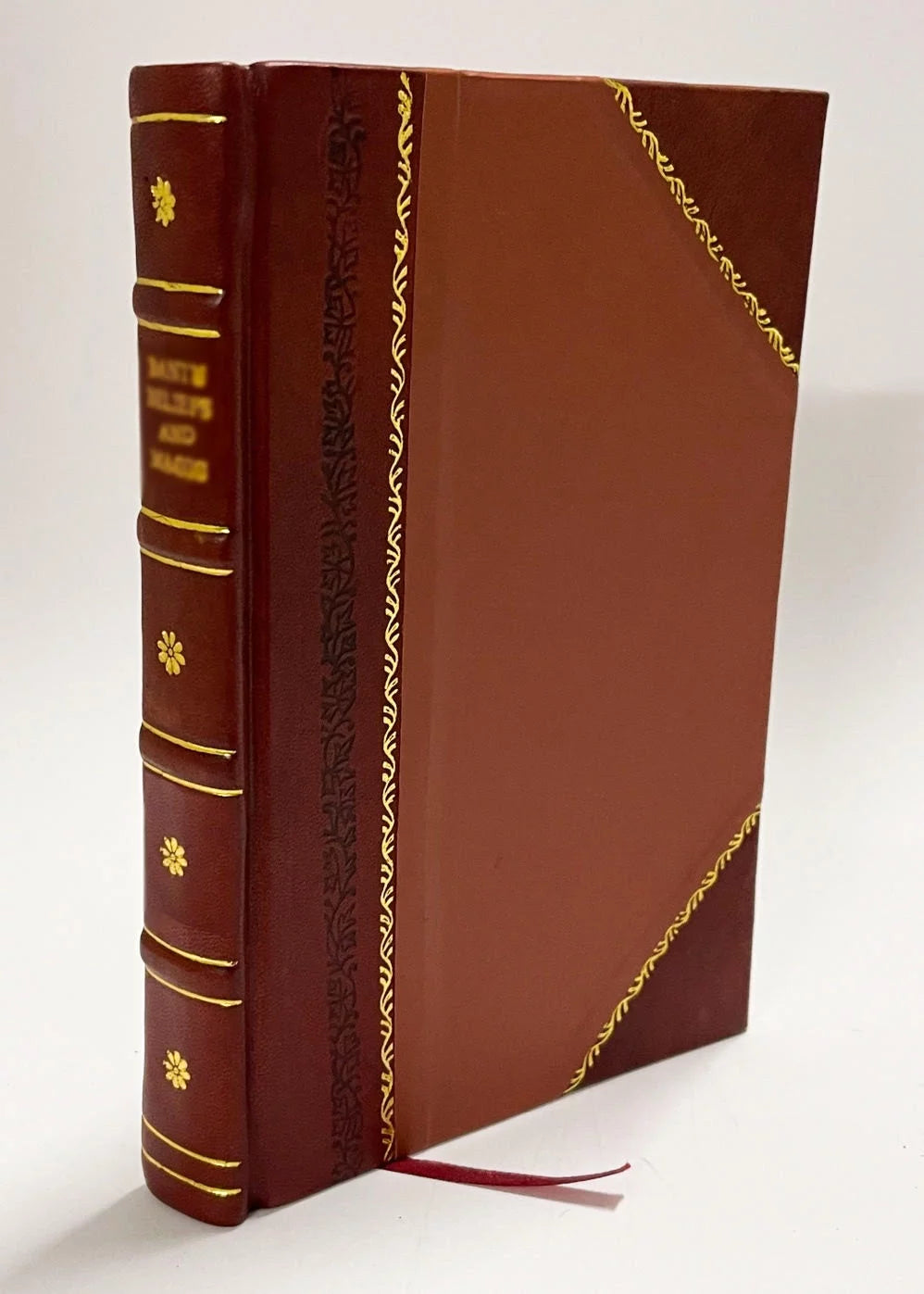 Souvenir of the Micmac Tercentenary Celebration Leather Bound Q384219