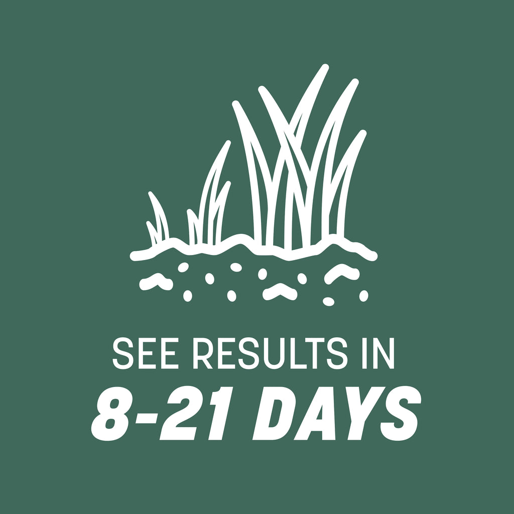 Tall Fescue Grass Seed 50lb O6470