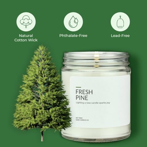 Soy Wax Candles Fresh Pine 7oz B970156