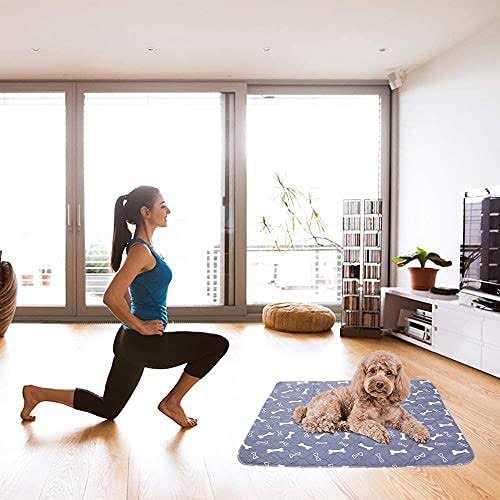 Washable Reusable Non-Slip Dog Pee Pads 2 Pack H12634