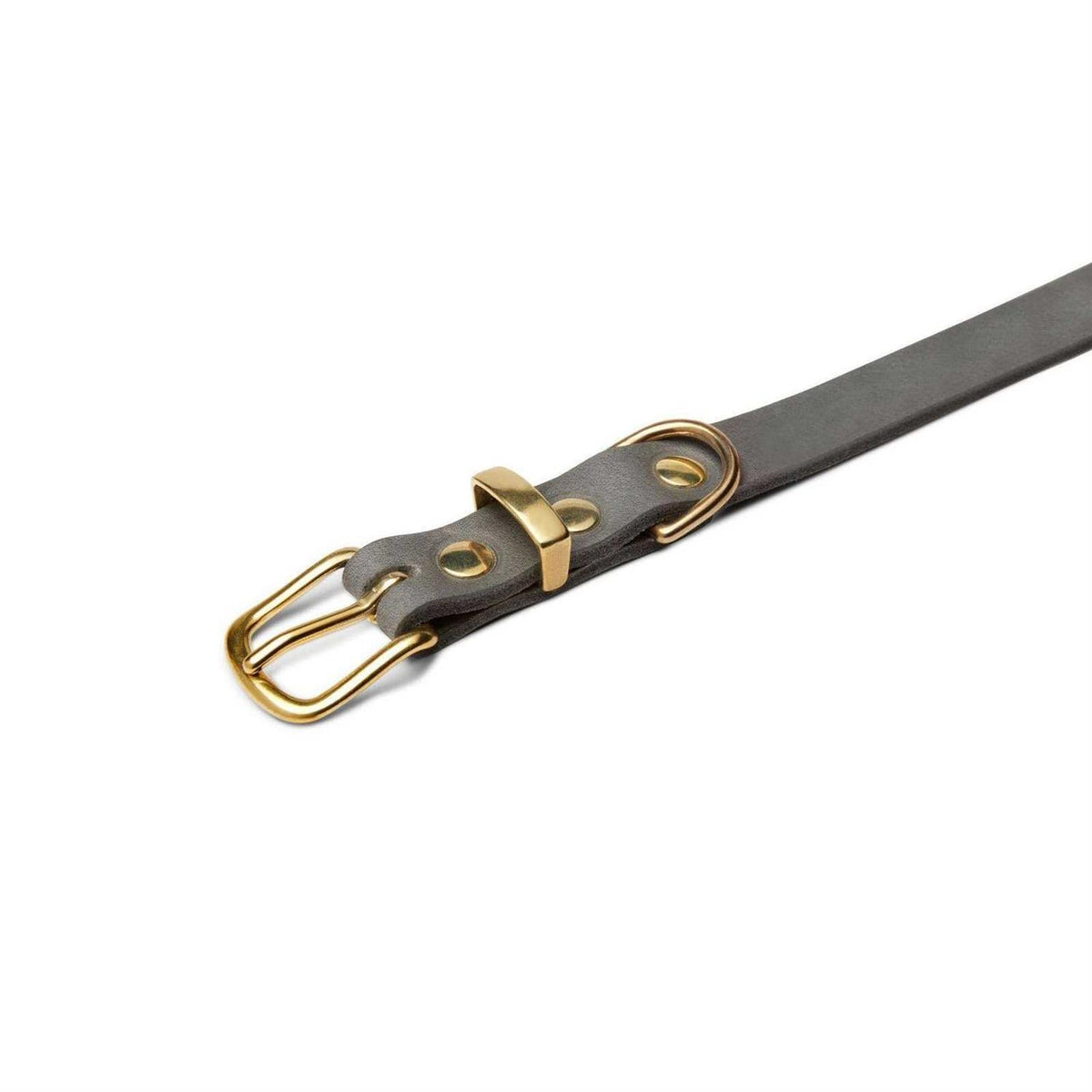 Leather Dog Collar I44440