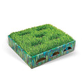 Grass Patch Cat Toy M182
