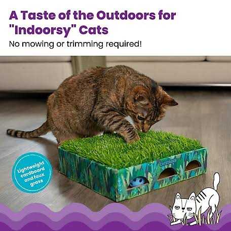 Grass Patch Cat Toy M182