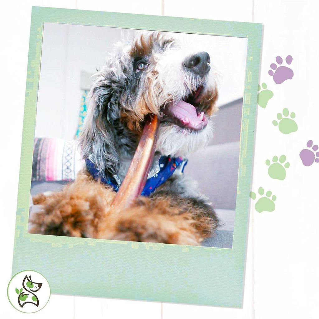 Natural Bully Sticks for Dogs B894