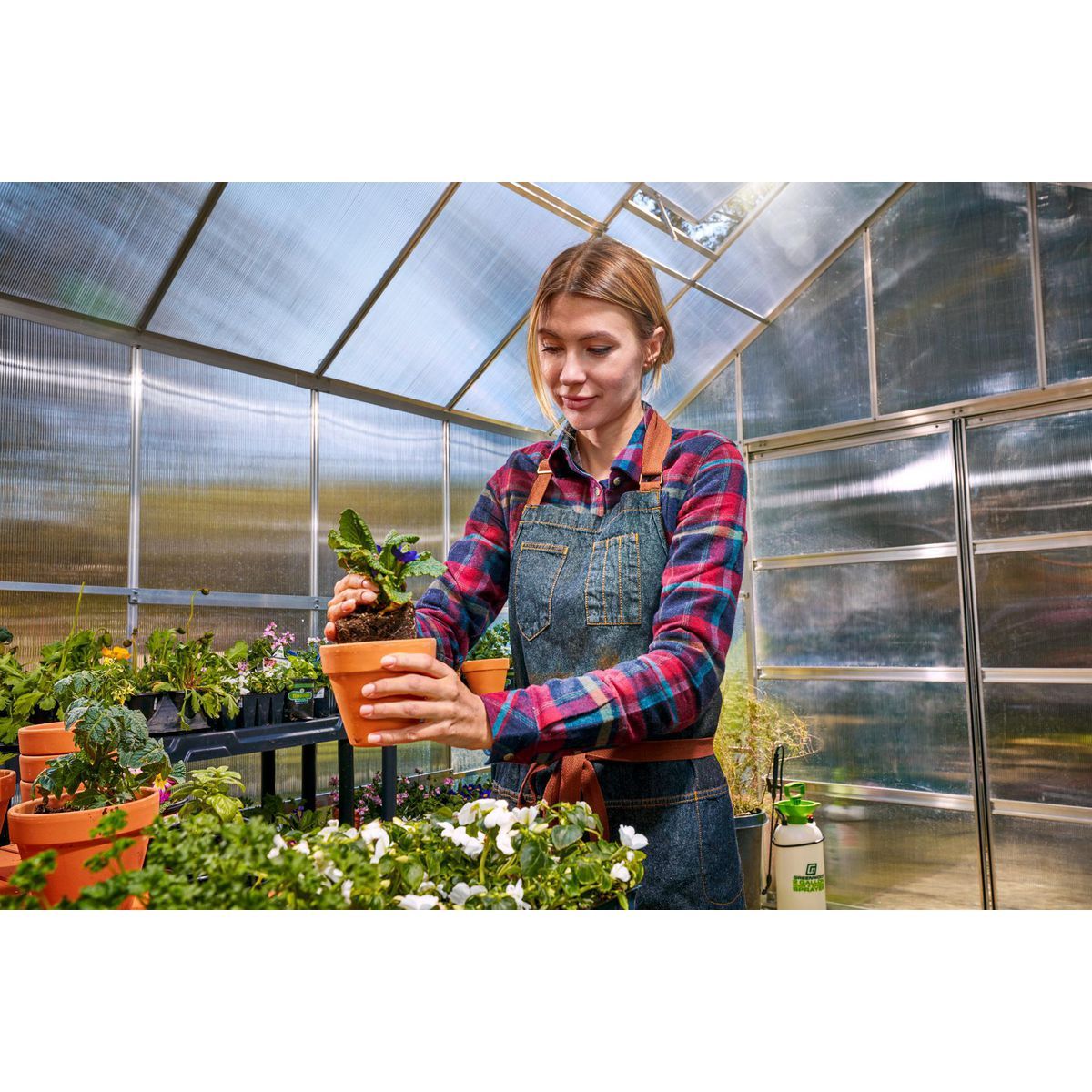 10 ft. x 12 ft. Greenhouse with 4 Vents I888488