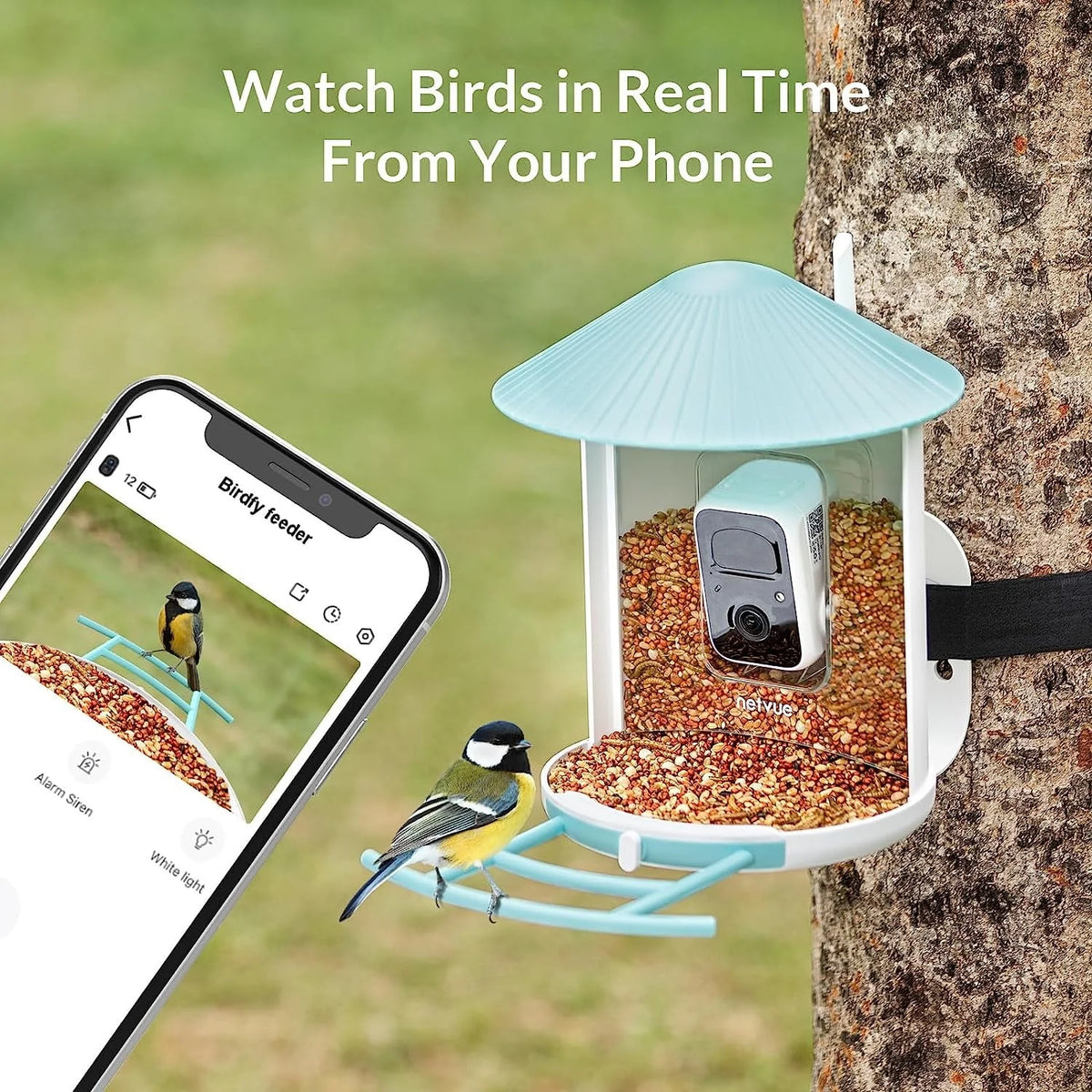 Bird Feeder with Camera, Solar Panel K3052