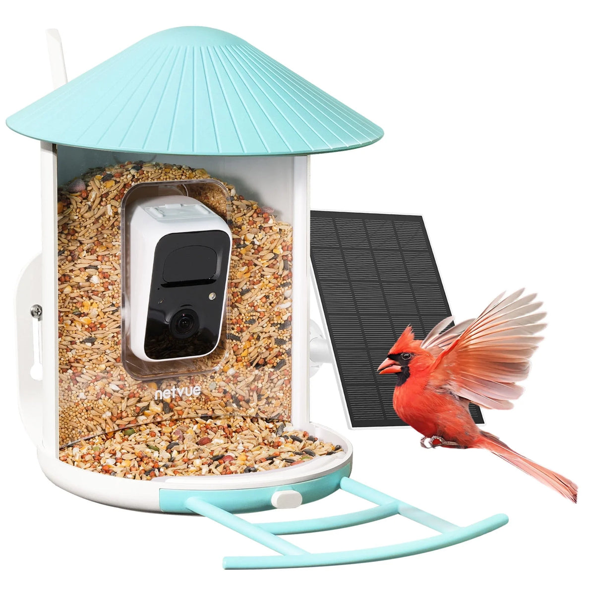 Bird Feeder with Camera, Solar Panel K3052