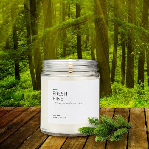 Soy Wax Candles Fresh Pine 7oz B970156