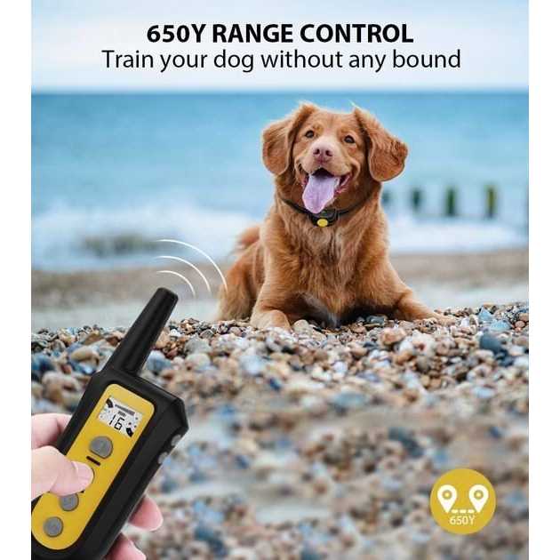Remote Dog Training Shock Collar Z451807