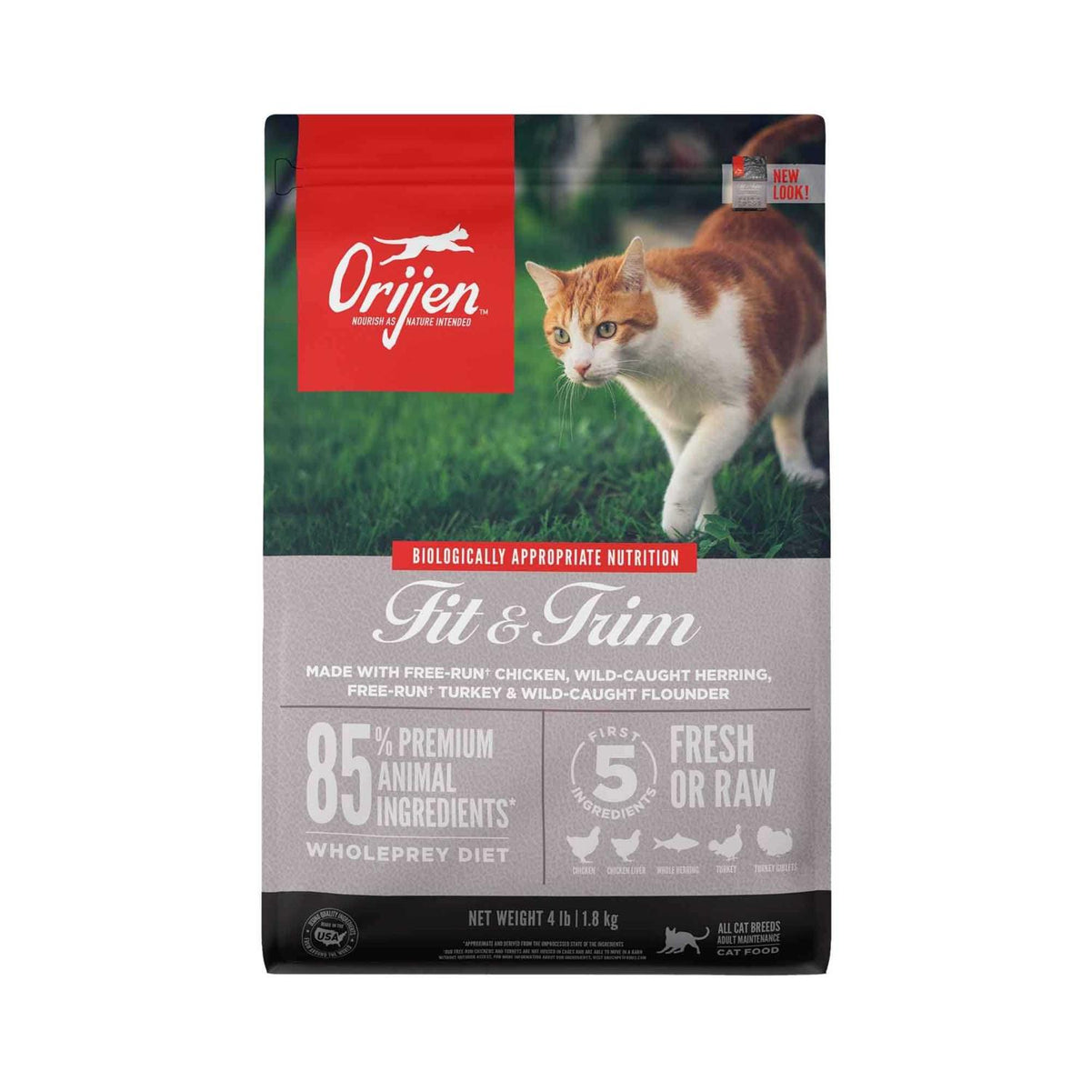 Cat Dry Food K11837