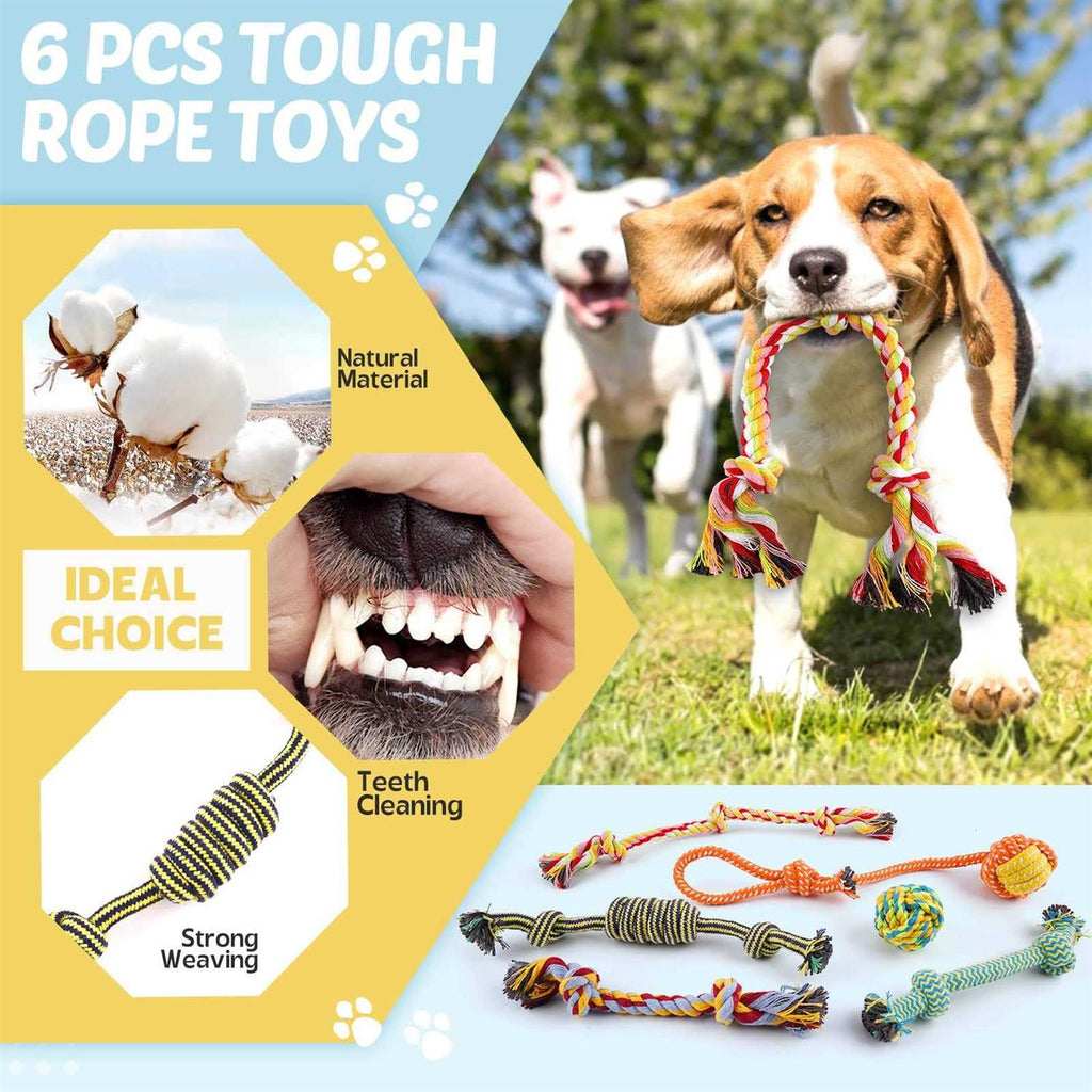 21 Pack Small Dog Chew Toys with Rope Toys K677