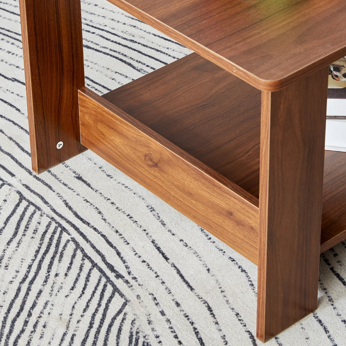 2-Tier Wood Coffee Table with Storage Z176059