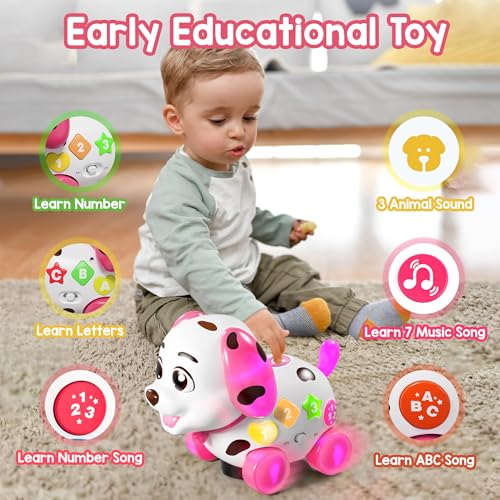 Bilingual Musical Learning Toy with Music Light B51188