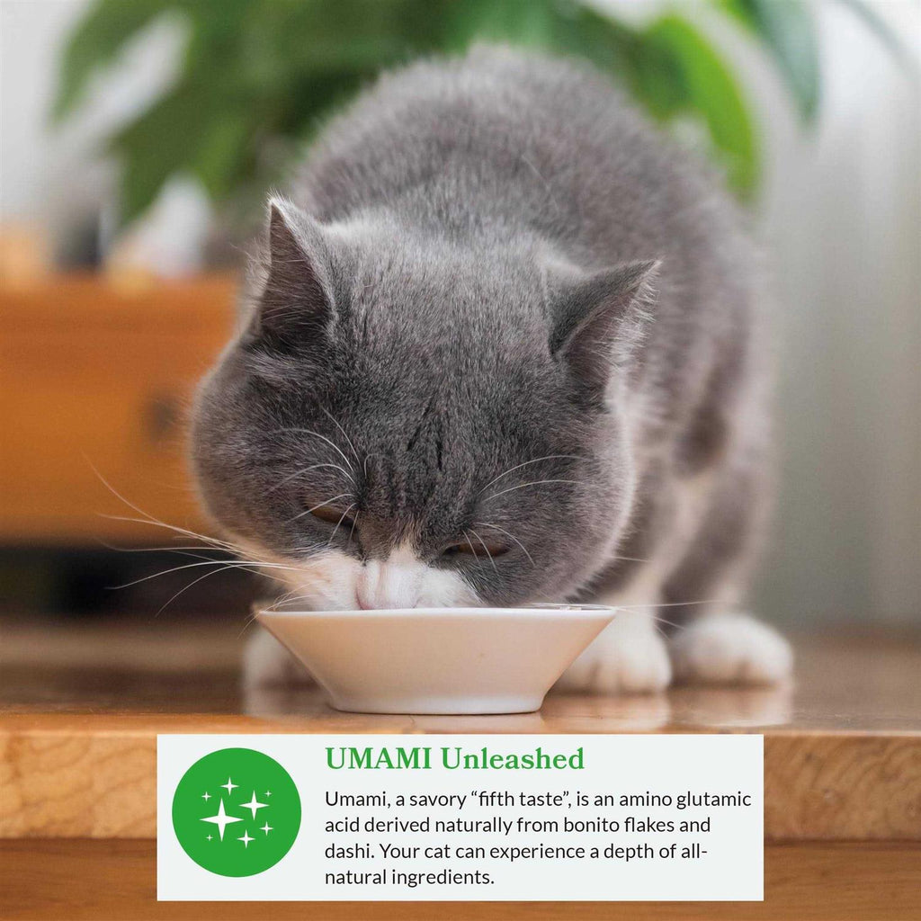 Variety Pack Bits in Broth Cat Food Topping D90660
