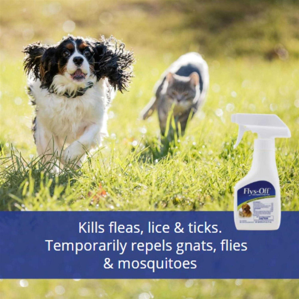 Insect Repellent for Dogs H344850