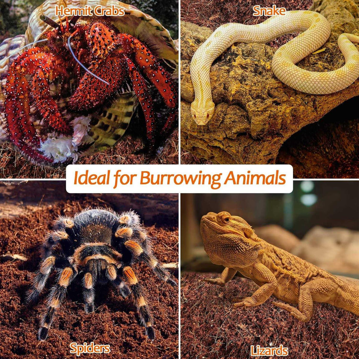 Natural Coconut Fiber Reptile Terrarium Bedding X77536
