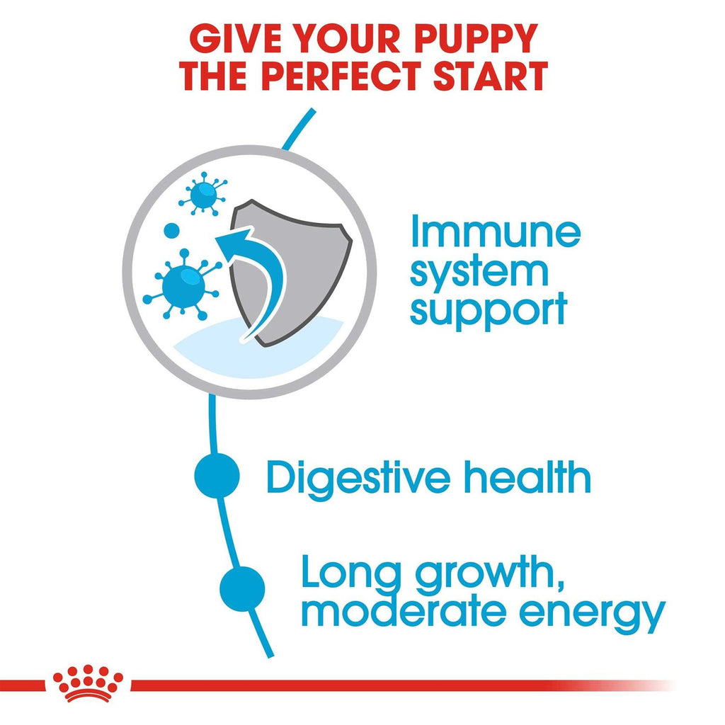 Large Breed Puppy Dry Dog Food D49145