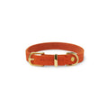 Leather Dog Collar I44440