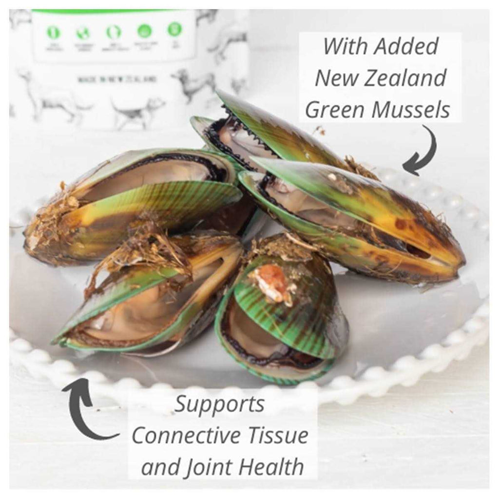 Green Mussel Freeze Dried Treats J891817