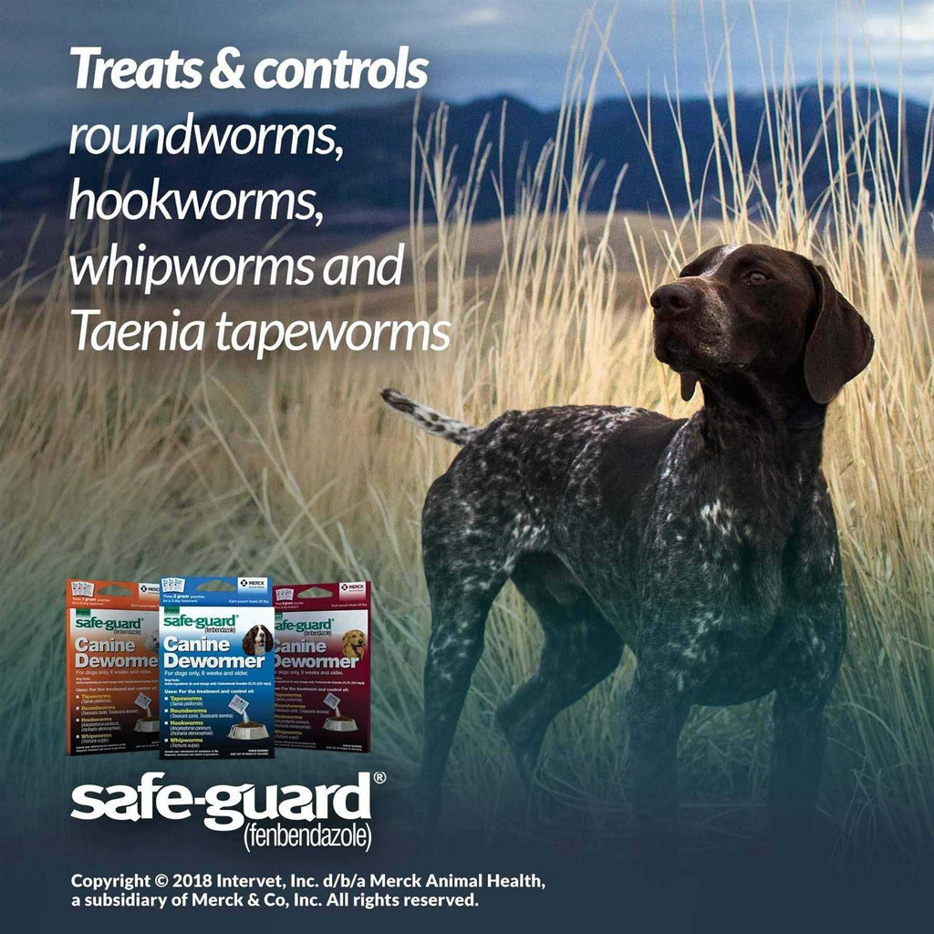Canine Dewormer B1526