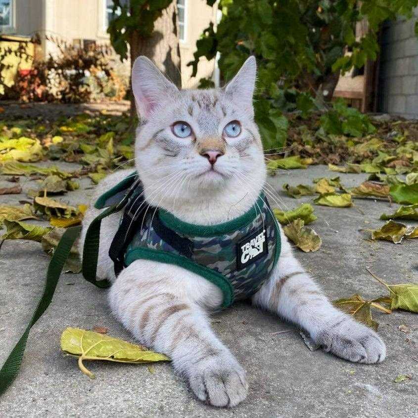 Reflective Cat & Kitten Harness and Leash B38564