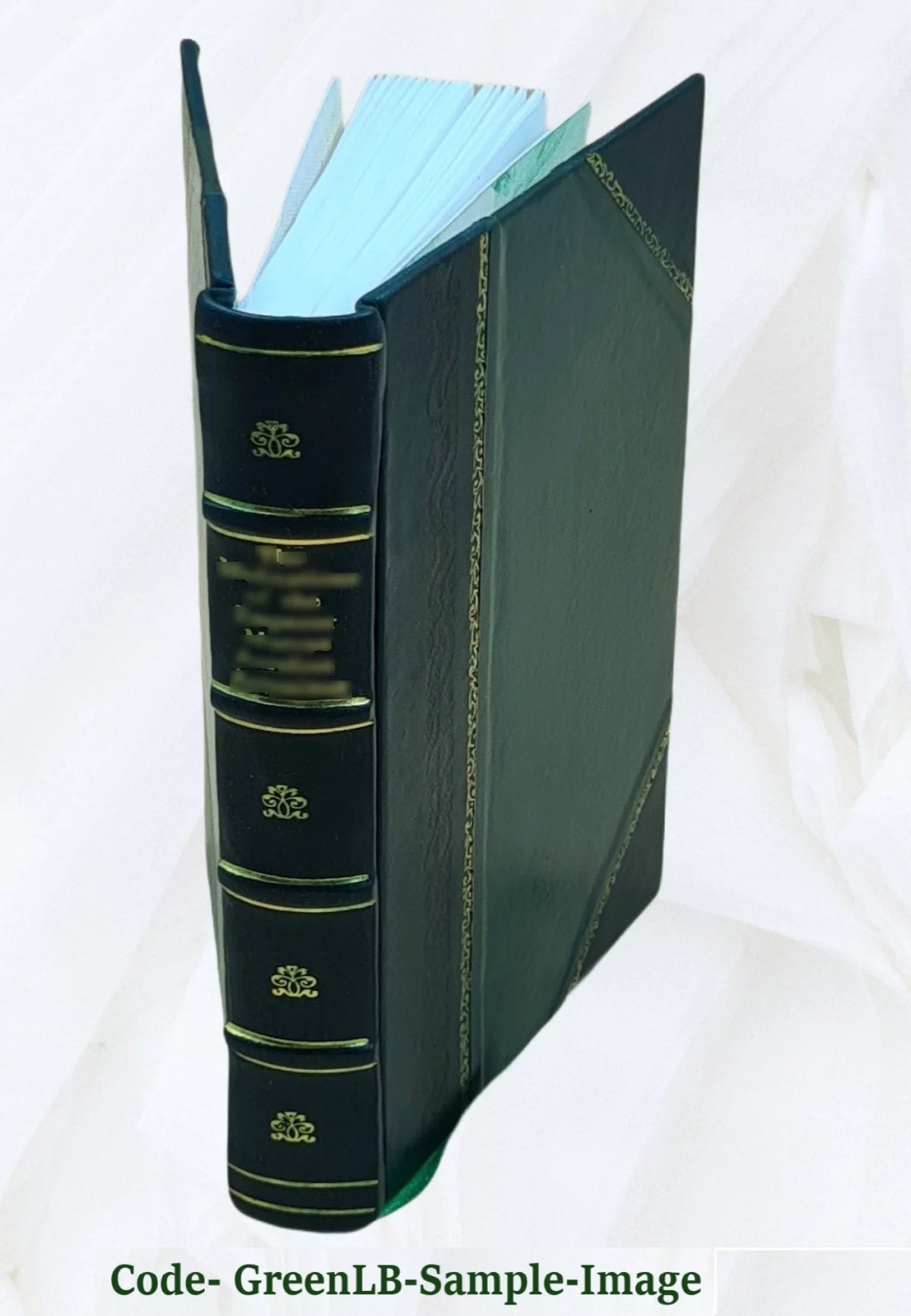 British Popular Customs Present and Past Leather Bound K27311